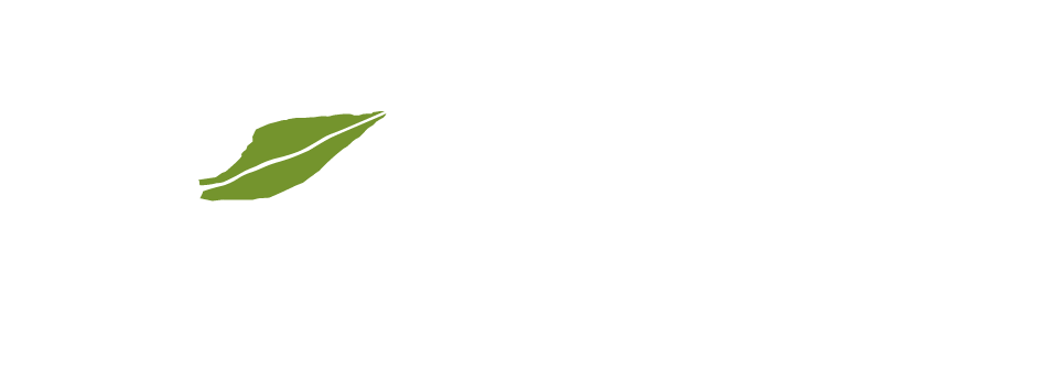 Food and Beverage Supervisor